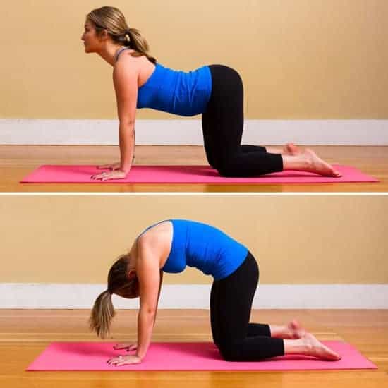 5 động tác yoga dễ tập mà chữa bệnh cực tốt